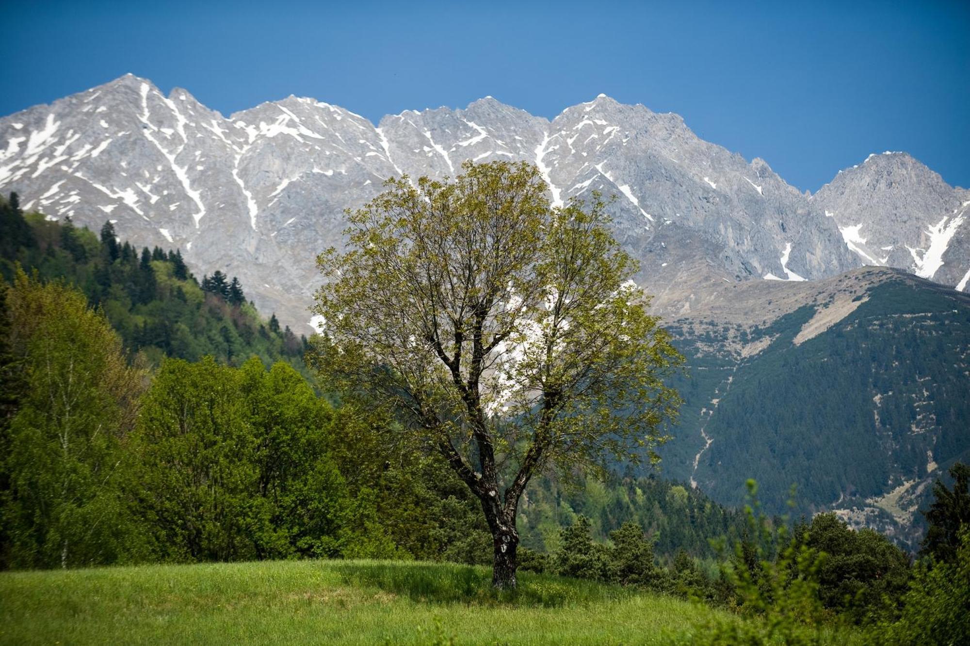 "Innsbruck Moments" Kasperhof Appartements Exterior photo